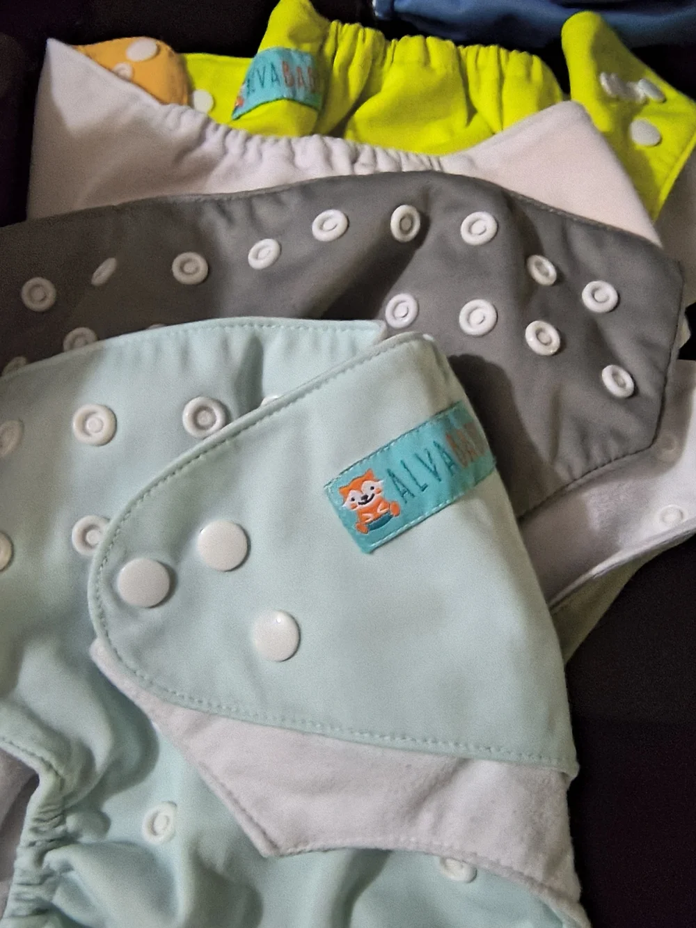 Kids Swim Diaper Cover - Black, White, Neon Green, Red, Blue Turtle Print